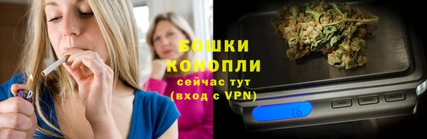 прущие грибы Каменск-Шахтинский