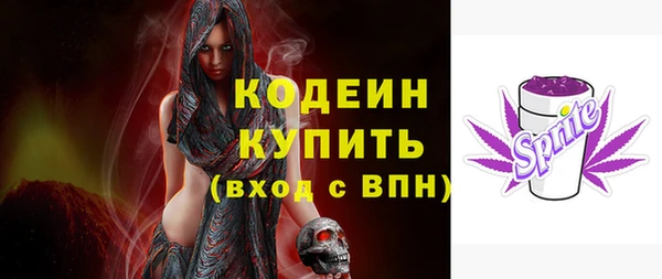 прущие грибы Каменск-Шахтинский