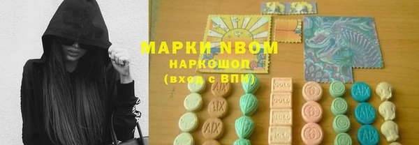 прущие грибы Новочеркасск