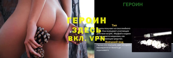 гидра Уссурийск