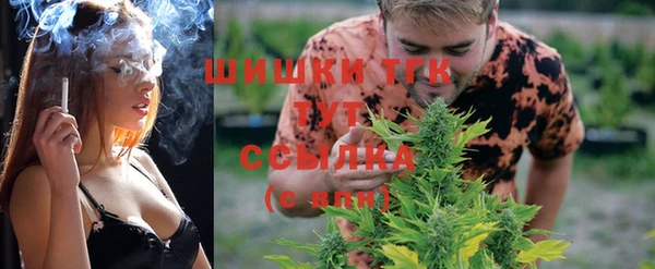 прущие грибы Каменск-Шахтинский