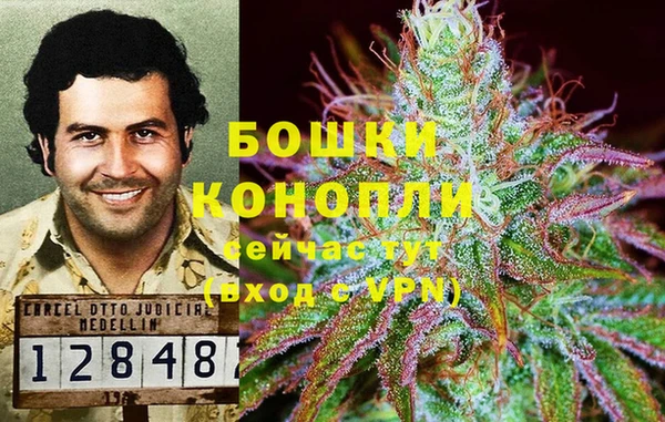 COCAINE Каменногорск